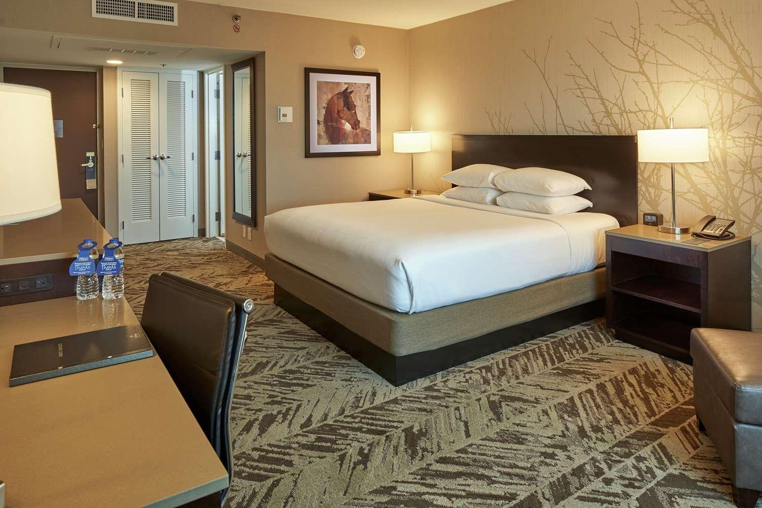 King Room,1548562162:JPEG