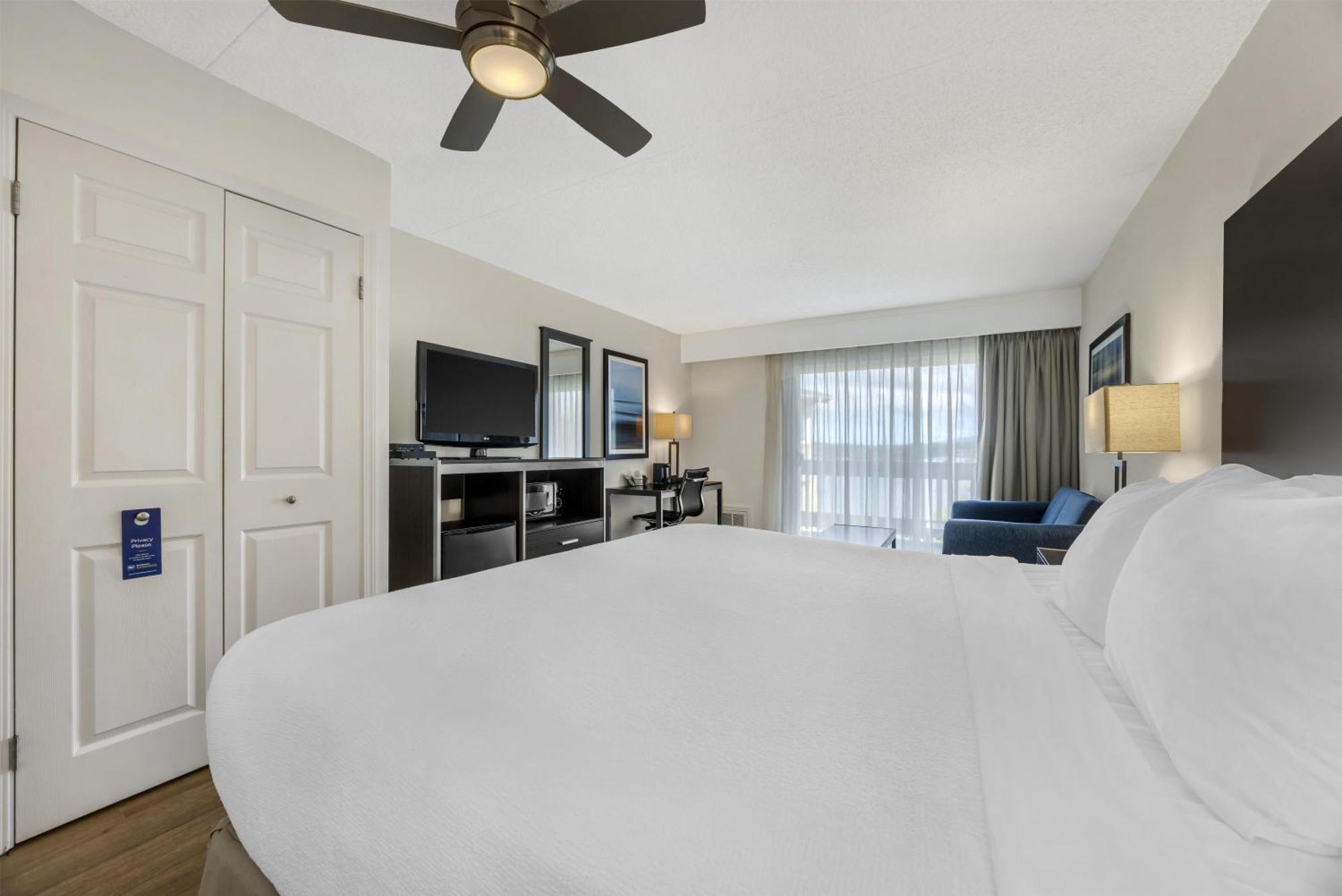 Pet Friendly 1 King Bed Balcony,1731446382:JPEG